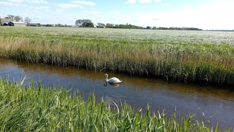 wandelsessie ontmoet jezelf
